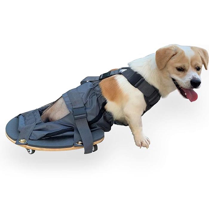 Pet Limb Lähmungsroller - Ein wesentliches Instrument für Tierhalter