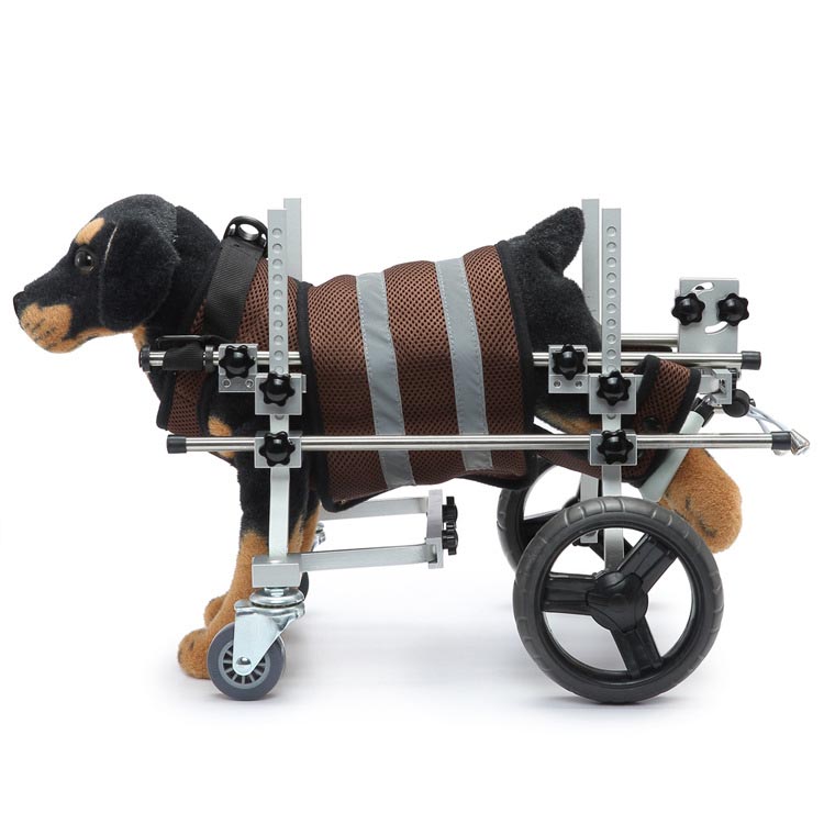 Wie kann man einen behinderten Hund über einen behinderten Pet -Rollstuhl oder andere Mittel aktiv halten?